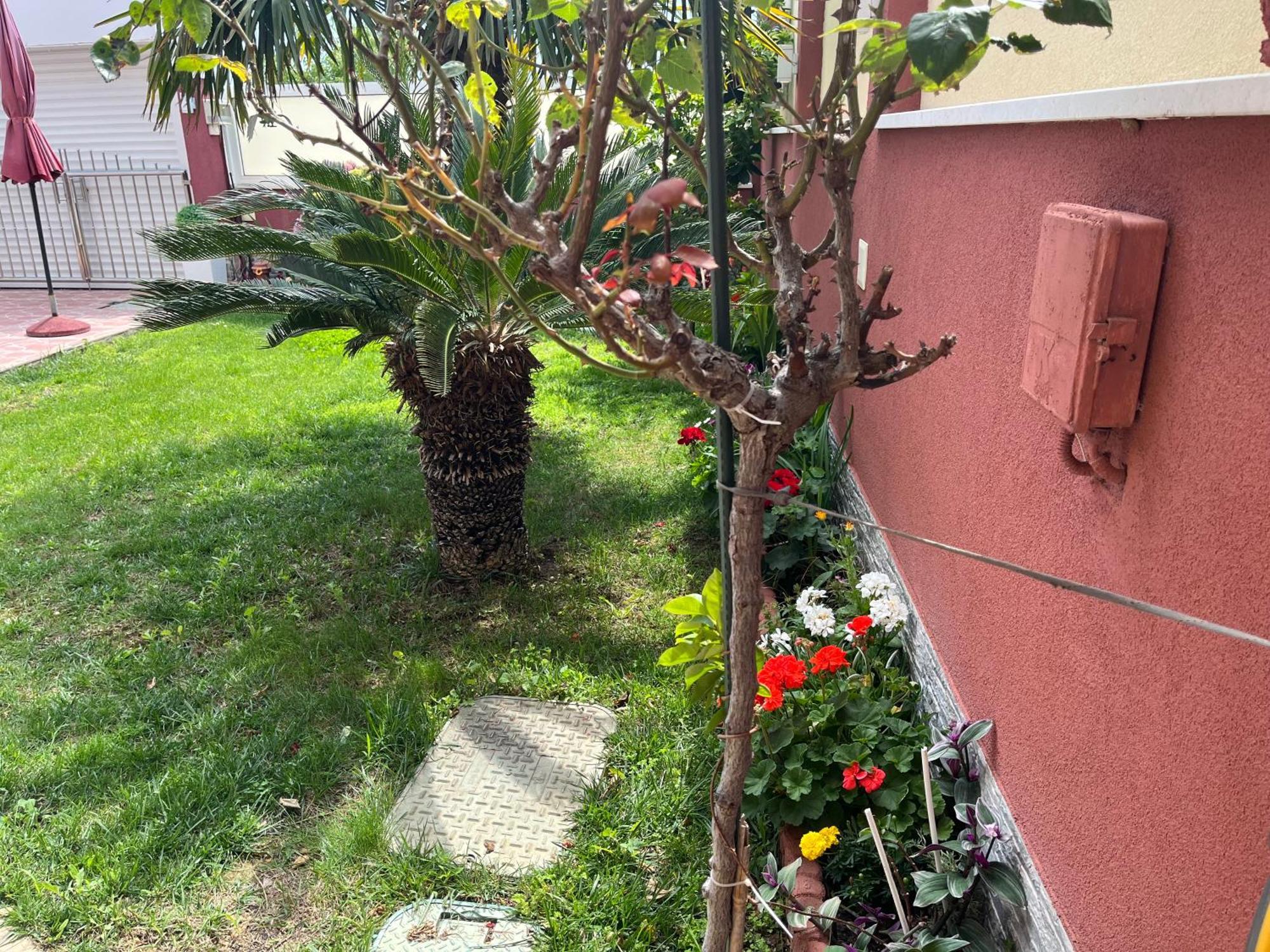 Apartments Villa Stella Maris 罗戈兹尼察 外观 照片
