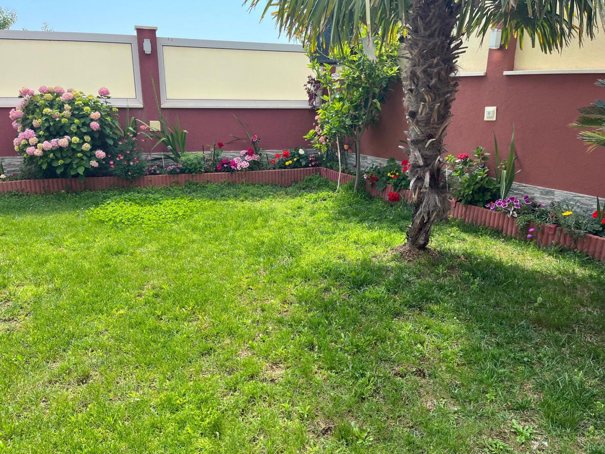 Apartments Villa Stella Maris 罗戈兹尼察 外观 照片