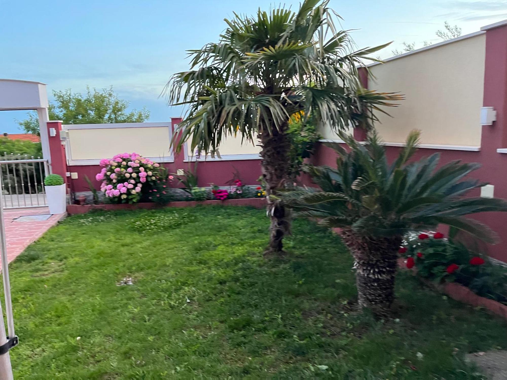 Apartments Villa Stella Maris 罗戈兹尼察 外观 照片